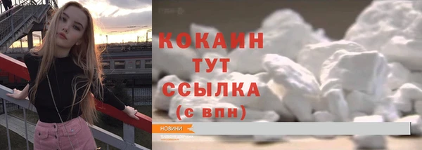 шишки Абдулино