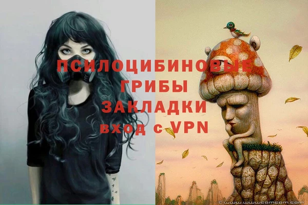 кокс Абаза