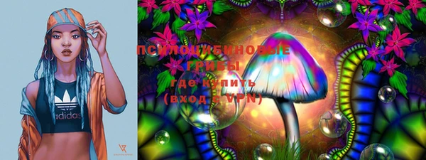 шишки Абдулино